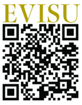 EVISU（エビス）の新規登録・運用・入金・出金方法。仮想通貨